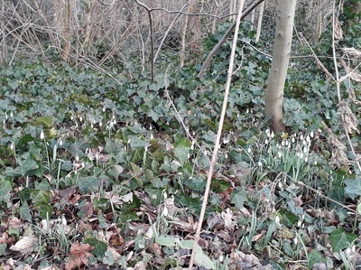 250131 Lente excursie